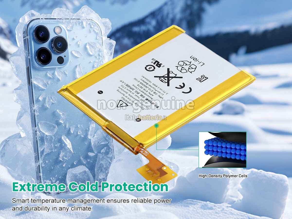 Batteria per Apple A1421