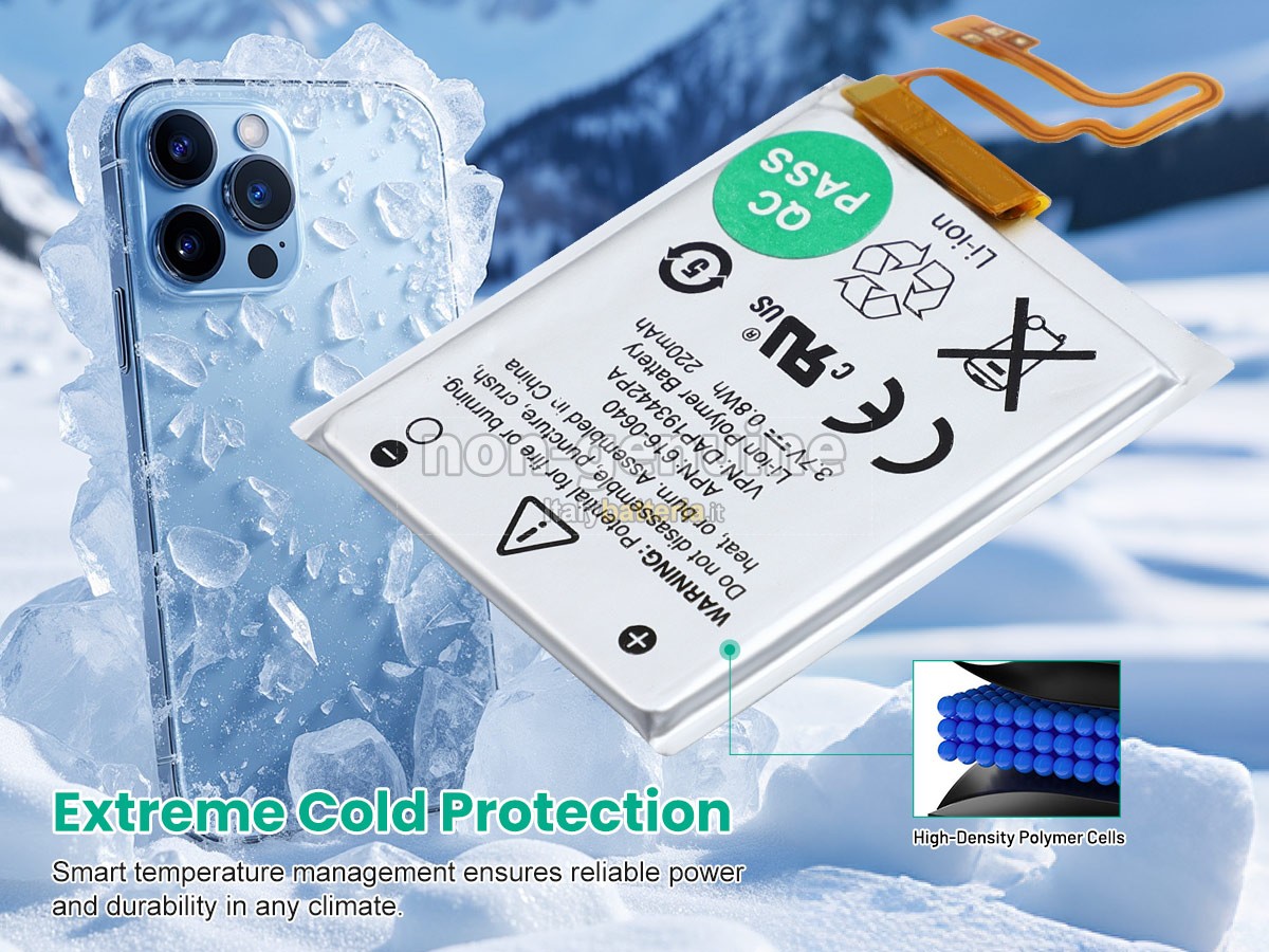 Batteria per Apple A1446