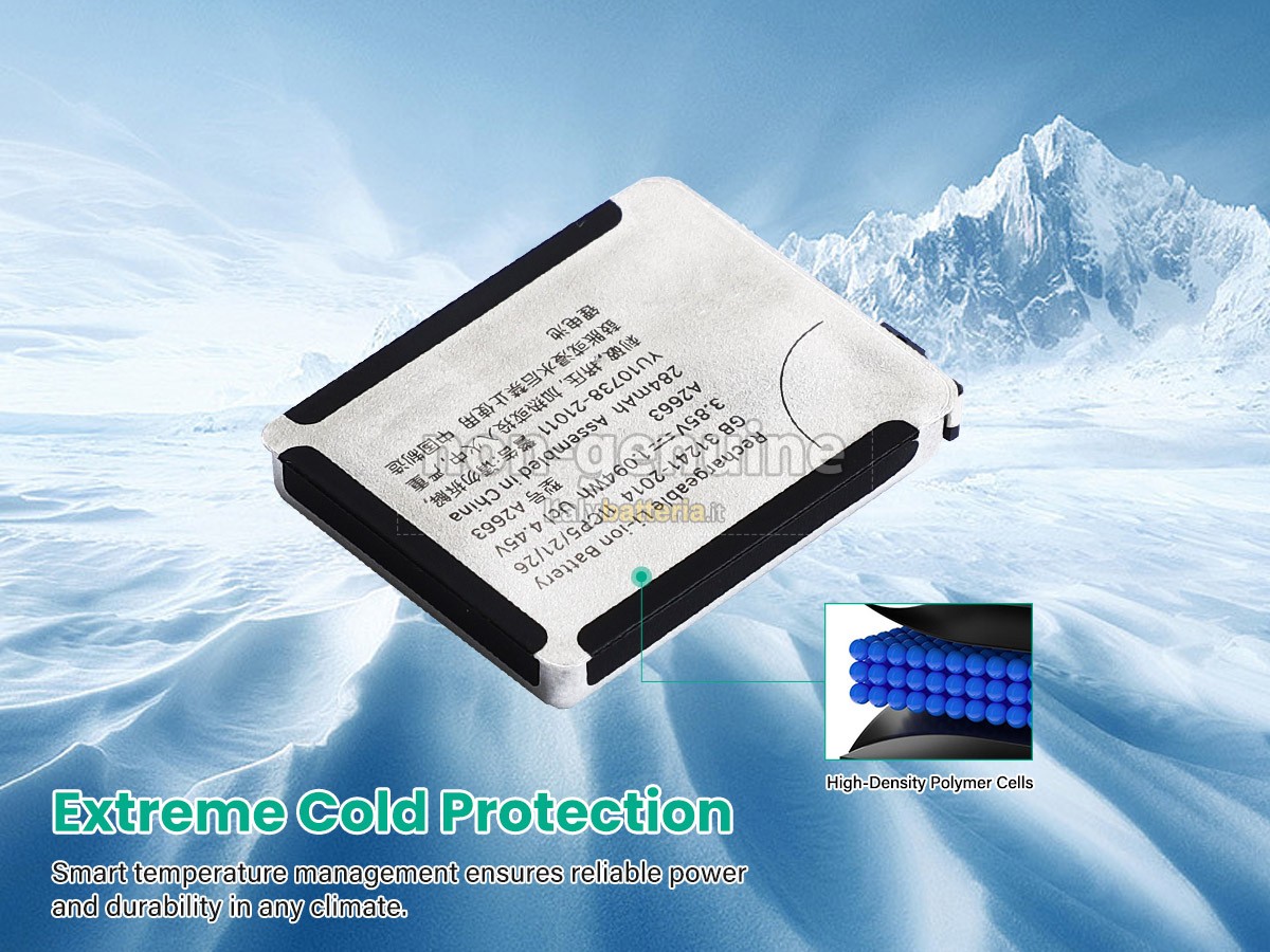 Batteria per Apple A2810