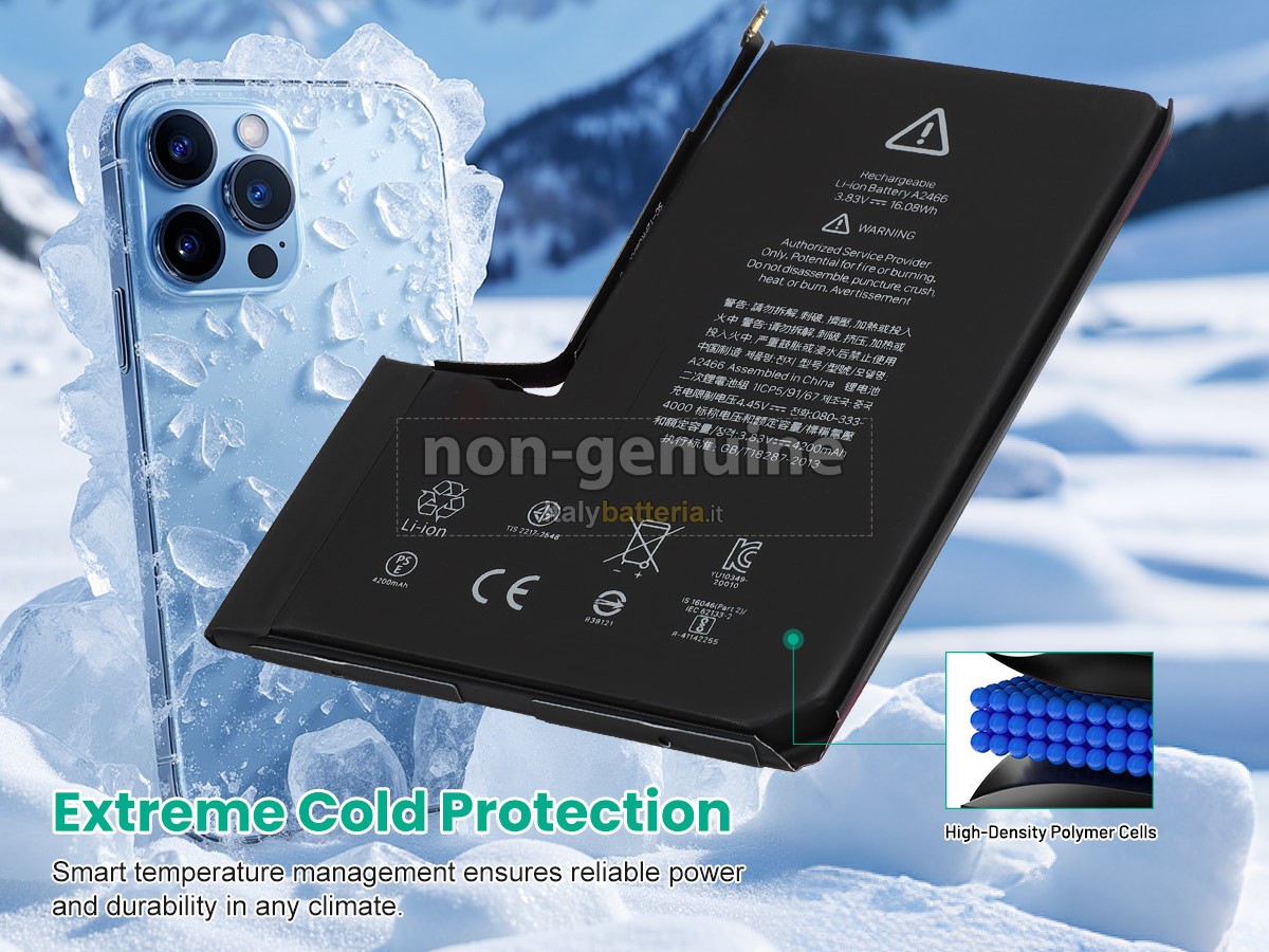 Batteria per Apple A2466