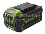 Greenworks LB40A010 batteria