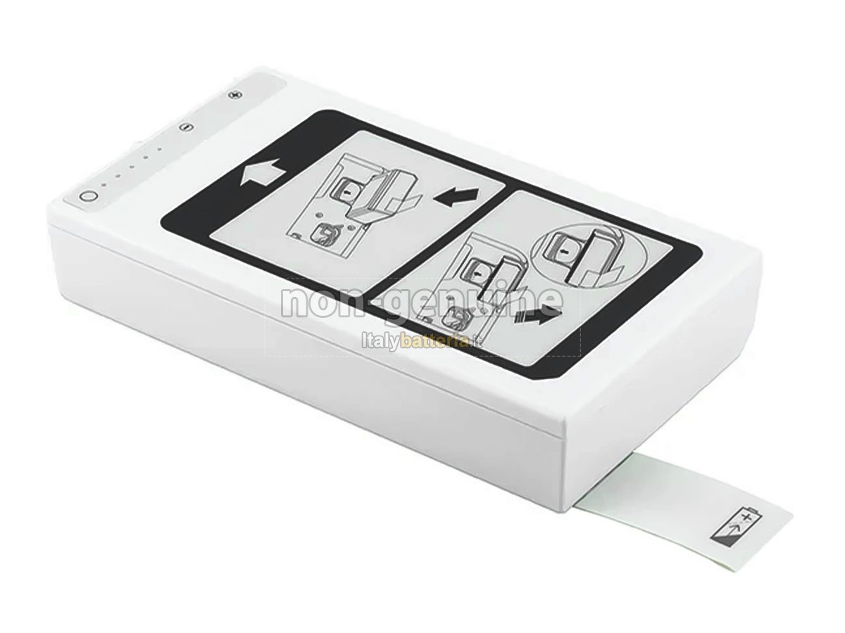 Batteria per Philips EFFICIA DFM100